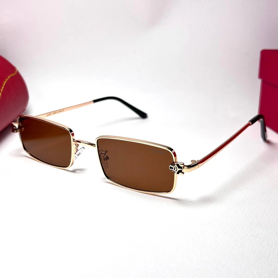 cartier_panthere_rectangle_brown_1.jpg